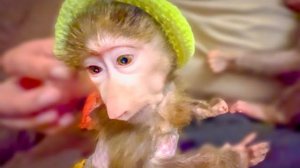 Вы посмотрите какая Маняша ПРЕЛЕСТНИЦА в шапочке, а Степашка ЕЩЕ КРУЧЕ)))