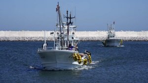 В Китае высоко оценили ответ России на санкции Японии