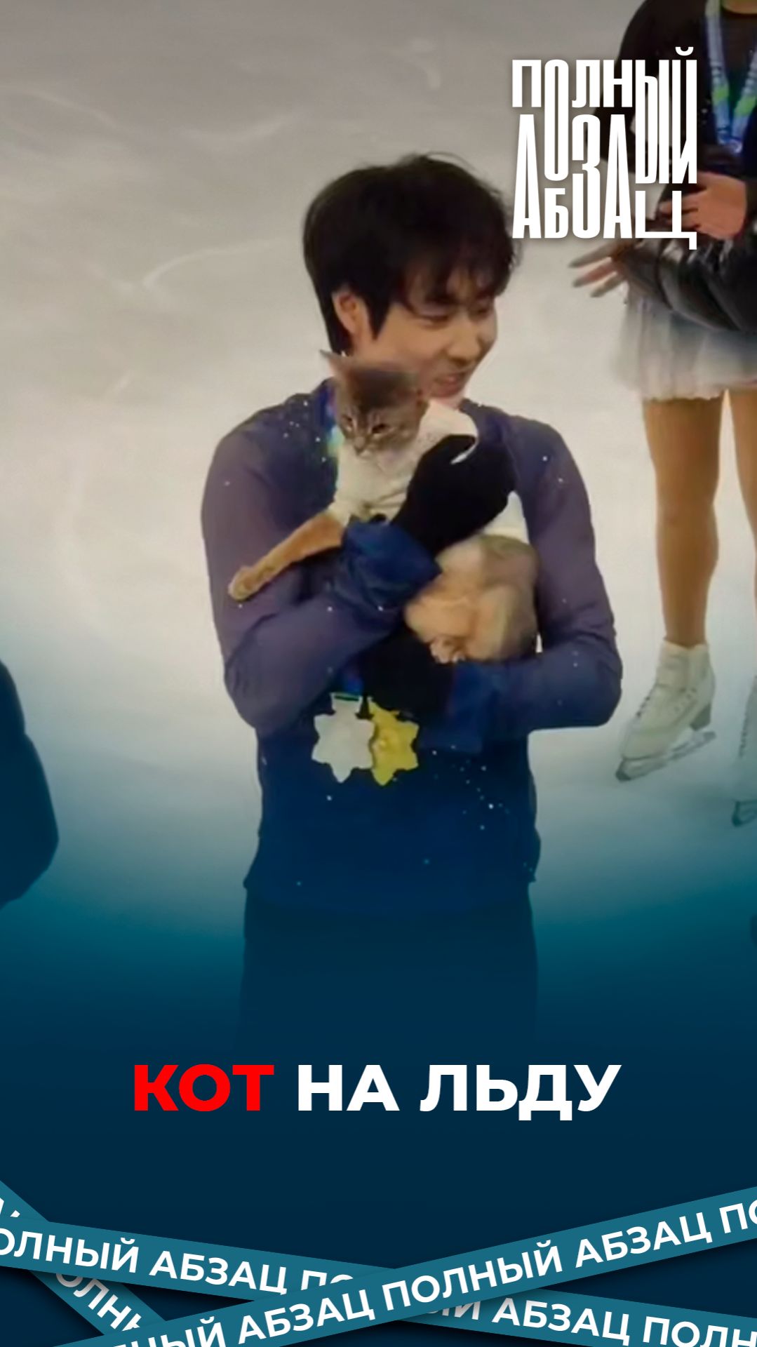 Кот на льду смотреть онлайн