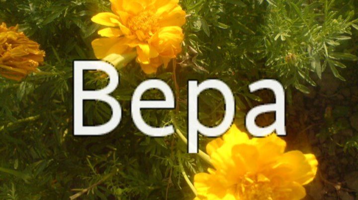 . Рассказ, который вы запомните. История из жизни. смотреть онлайн