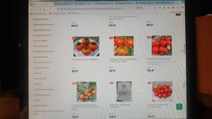 Какие Холодостойкие сорта помидоров посадить в открытый грунт