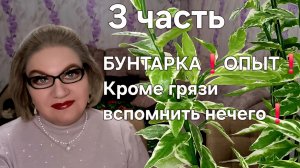 3 часть  .БУНТАРКА❗️ОПЫТ❗️Кроме грязи вспомнить НЕЧЕГО❗️