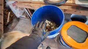 Инкубатор Огнёвки. Отсев ПЖВМ.Загрузка молярия.