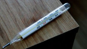 Ребенок отравил мать ртутью из градусника в Подмосковье