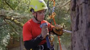 Брассовка, или брейсинг деревьев N2