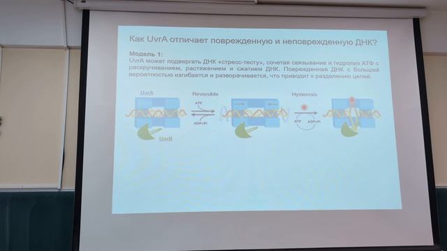 Молекулярная биология(БТ), 1 лекция, Пупов Д.В., 05.02.26 смотреть онлайн