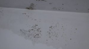 ДЕЛО СИРОТЫ ВЗЯЛ ПОД КОНТРОЛЬ ГЛАВА СК