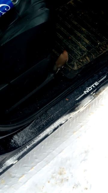 зимняя птаха