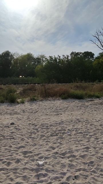 Железная Дорога рядом с морем смотреть онлайн