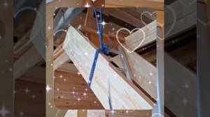 1000048152.mp4 (Собака наблюдает за устройством лестницы на 2 этаж в доме А-фрейм)