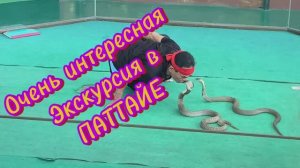 Очень интересная экскурсия в Паттайе‼️👍Тайланд 2026 февраль