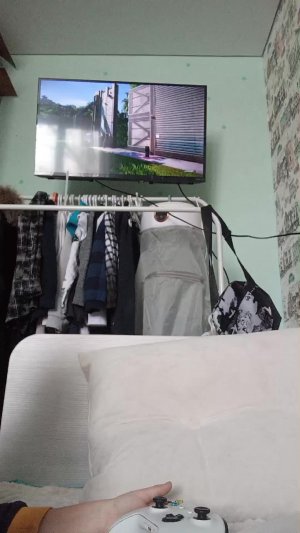 цератозавр против хуаяназавра