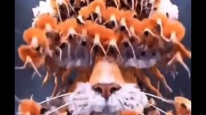 # необычный танец #