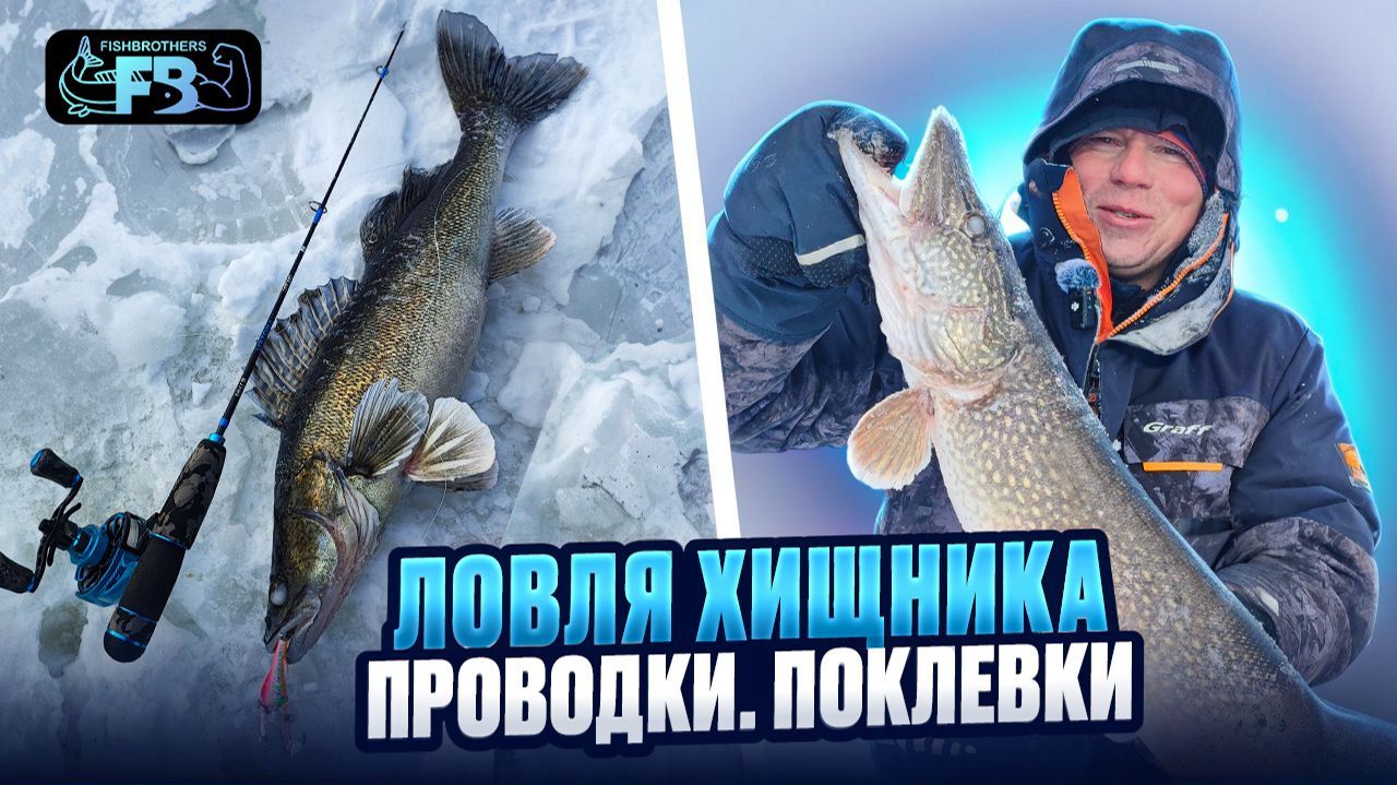 Ловля хищника на Вибы! Новички в деле. Проводки и поклевки! смотреть онлайн