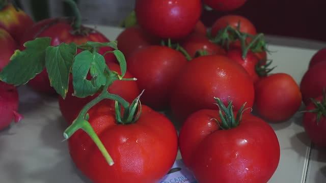 Томаты. Обзор 5 гибридов. смотреть онлайн