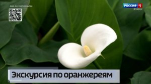 Сотрудники Донецкого ботанического сада провели для юннатов Движения Первых обширную экскурси