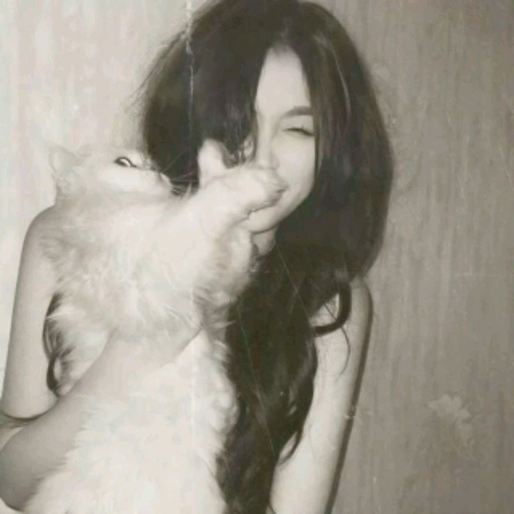 трансляция смотреть онлайн