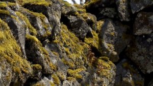 Тайна острова Матуа [недляэфира] 11