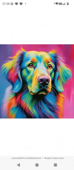 Трансляция алисы