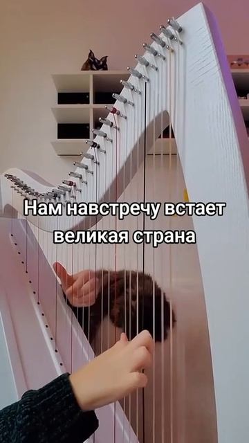 Дюна - привет с большого бодуна на арфе смотреть онлайн