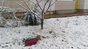 Анапа. 9 февраля. Сново идёт снег.