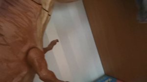 Привычки Басикав