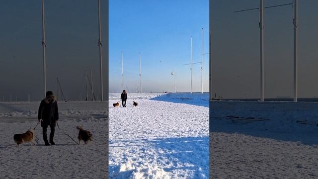 Медитация спокойствия