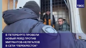 В Петербурге провели новый рейд против мигрантов-нелегалов в сети "Перекресток"