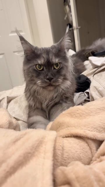 Массажист смотреть онлайн