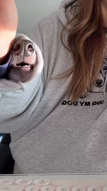 Нахлебник смотреть онлайн