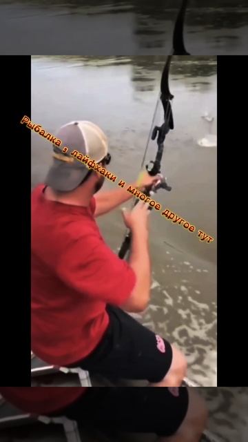 Тг канал Katushka RND смотреть онлайн