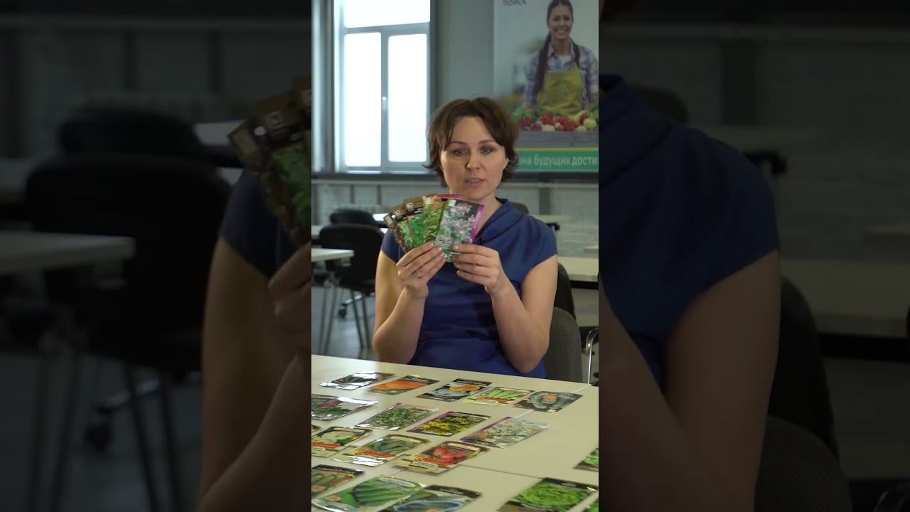 Прованские травы у себя в саду  свежие специи каждый день