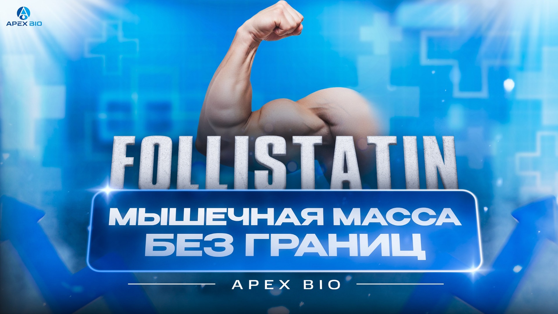 Follistatin: как блокировать миостатин для роста мышц? Эффекты на массу силу и восстановление