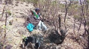 Фильм о семье кочевников Ирана /51 серия