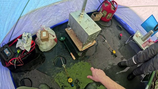 Взял дочь на рыбалку и был в шоке!!! Новичкам везёт!!! Зимняя рыбалка на плотву!!! смотреть онлайн