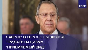 Лавров: в Европе пытаются придать нацизму "приемлемый вид"