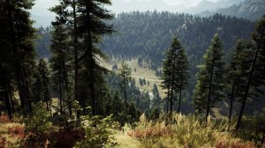 Way of the Hunter | Охотимся на оленей | 1