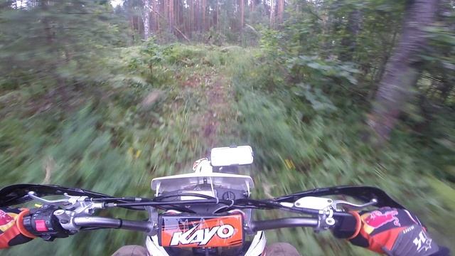 Духовое 2024 4