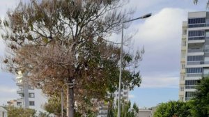 Турция, Мерсин, район Mezitli:  виды новостроек