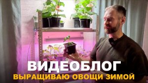 ВИДЕОБЛОГ: ОГОРОД НА ПОДОКОННИКЕ. Работы в доме и на участке в зимний период.