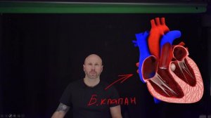 Демо запись в Видеостудии GlooBoard Studio 82" - тест