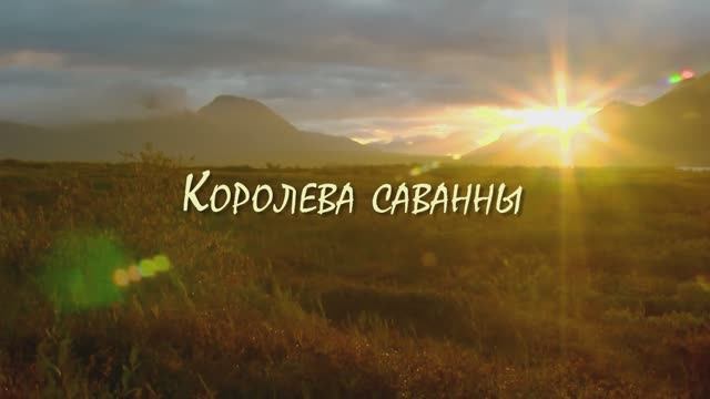 Королева саванны