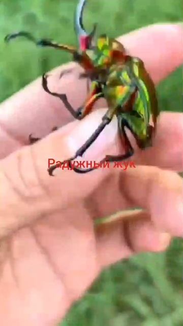 моё смотреть онлайн