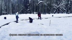 Запуск форели в лесной пруд 10.02.26