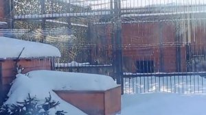 090226г Водички попить и к окошкуКИАРА