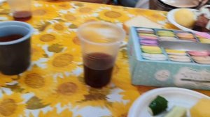 Это наш Кавказ 25.06.24. Дивноморское