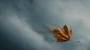 Золотое фламенко 1