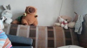 Делаю домик для кошечки и собачки из цветной бумаги