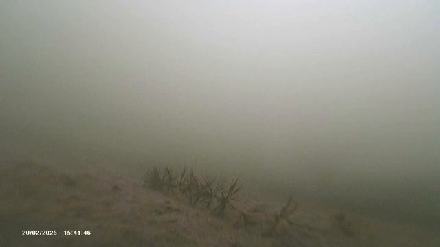 Подводная съёмка, Озеровка, 20.02.25 г. смотреть онлайн