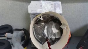 ахахахах мякотка сдох в стиральной машине 🤣🤣🤣🤣🤣🤣🤣🤣🤣